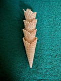 Waffle Cones x 4