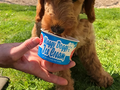 Waggy Doggy Doo Da Doggy Ice Cream
